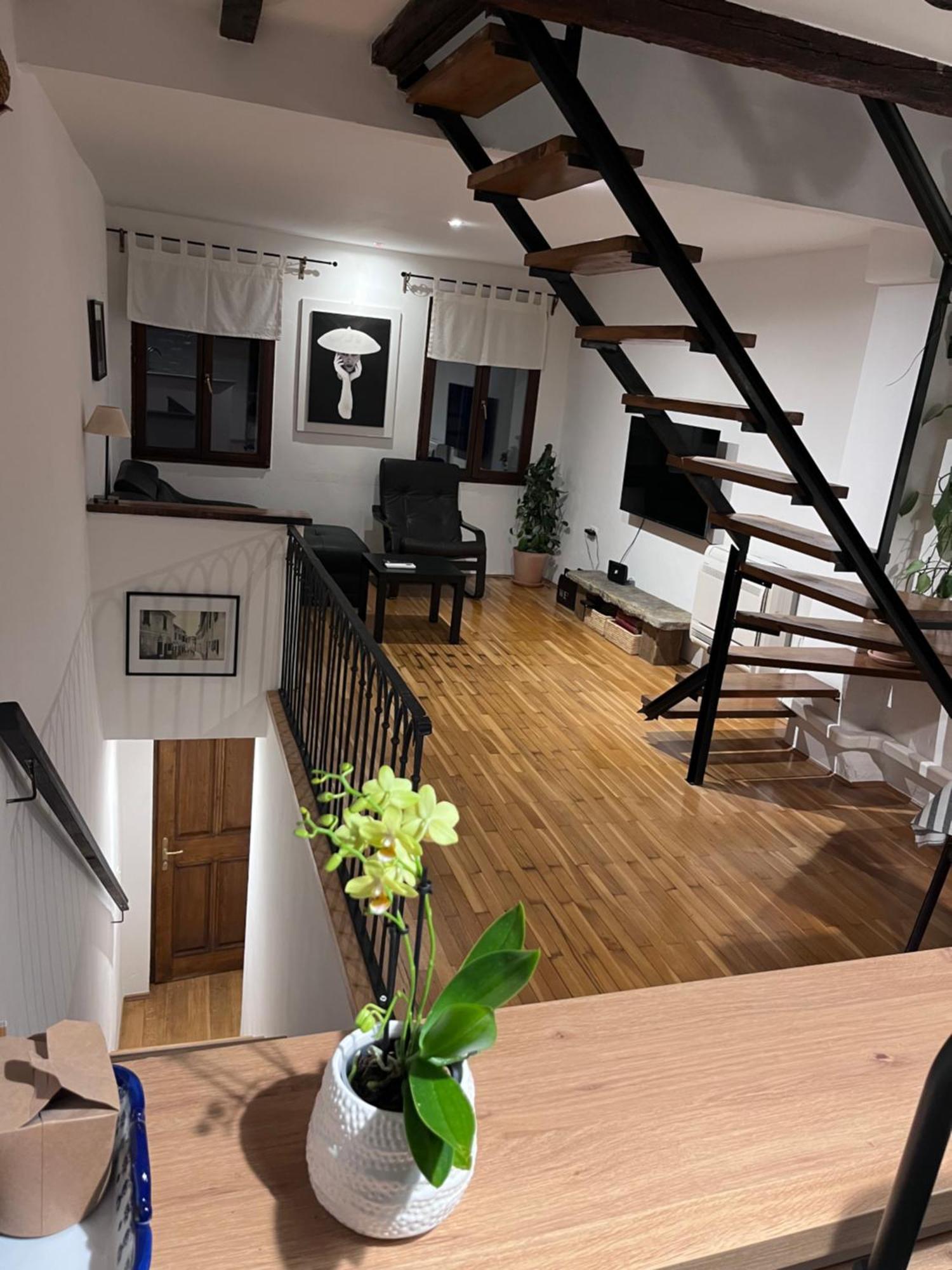 Apartment Capo D'Istria Копер Екстериор снимка